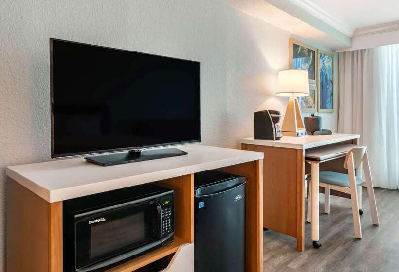 Winter The Dolphin S Beach Club, Ascend Hotel Collection