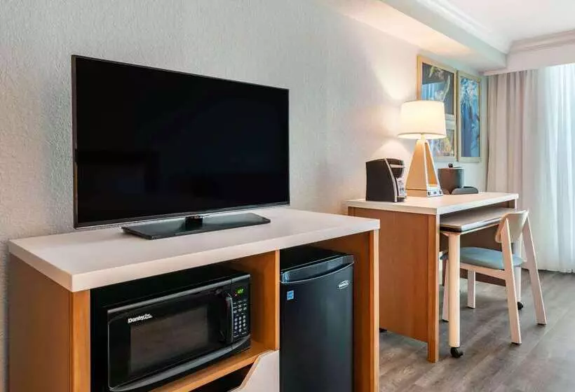 Winter The Dolphin S Beach Club, Ascend Hotel Collection