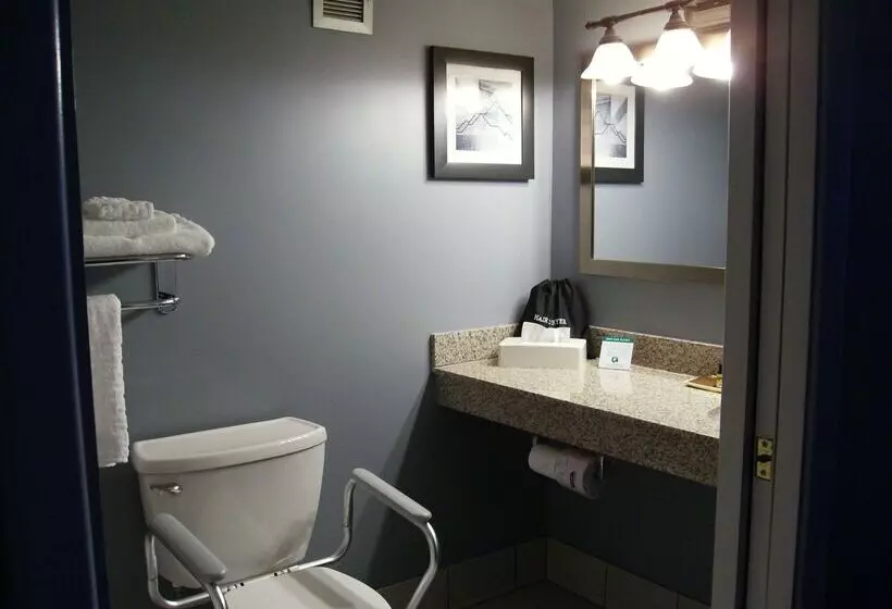 Szálloda Best Western Plus Bradford Inn