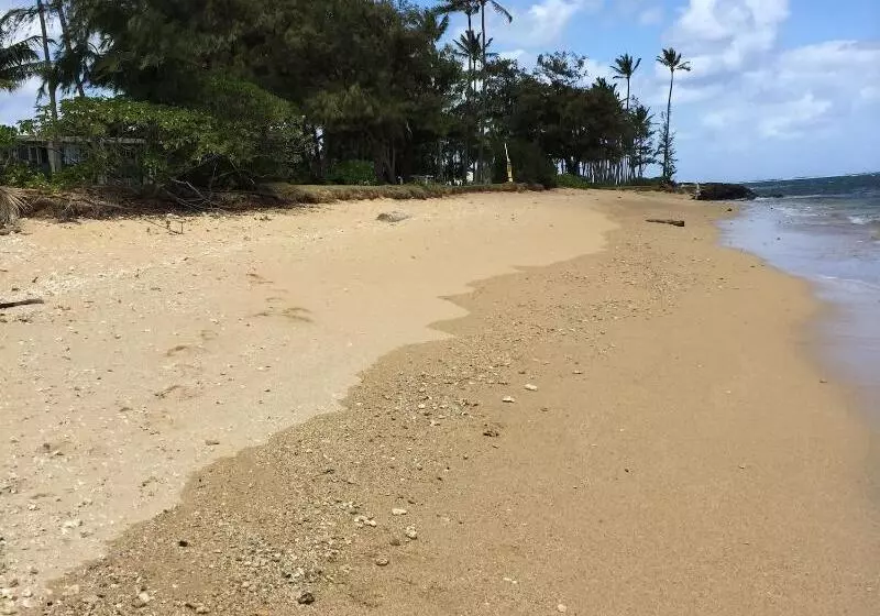 Szálloda Coral Reef