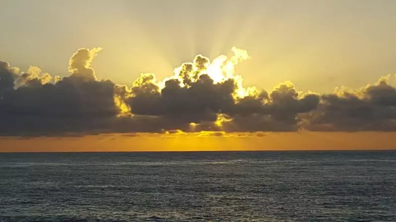 Szálloda Coral Reef