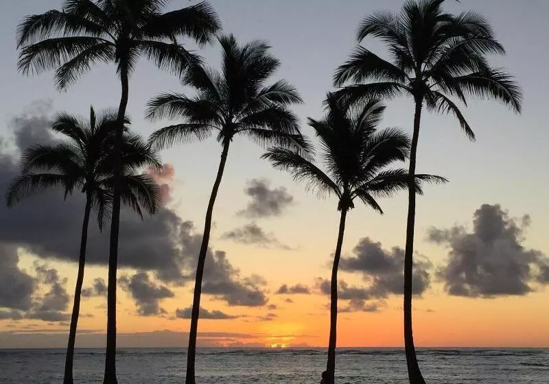 Szálloda Coral Reef