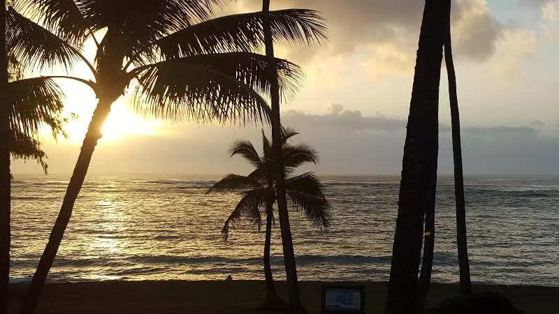 Szálloda Coral Reef