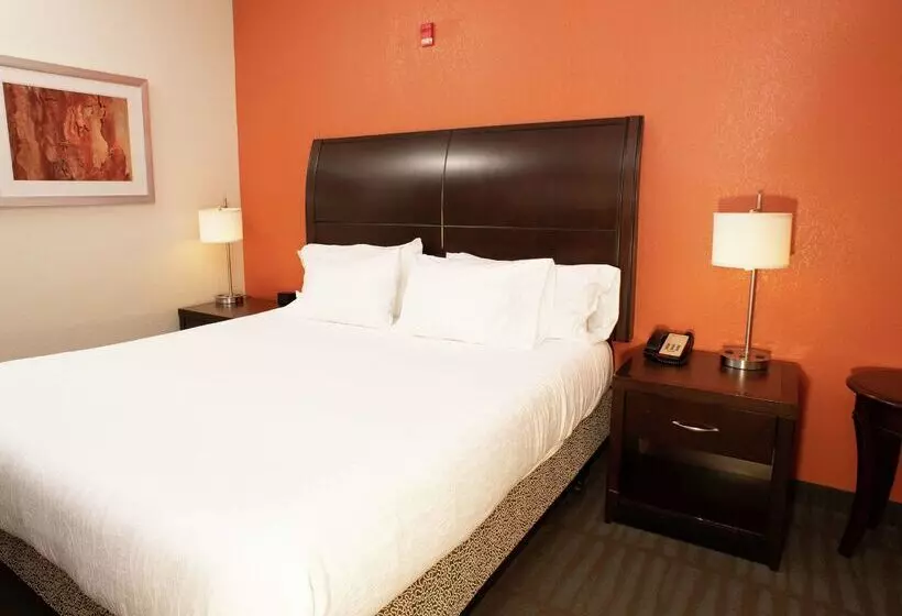 호텔 Hilton Garden Inn Springfield, Il
