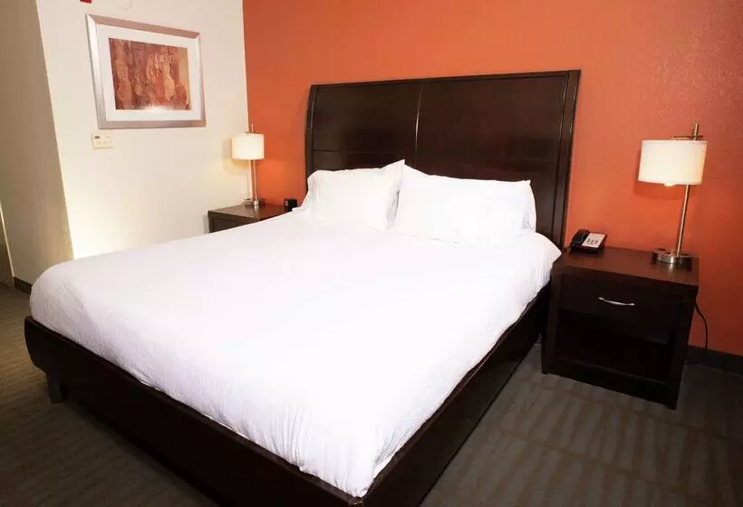 호텔 Hilton Garden Inn Springfield, Il