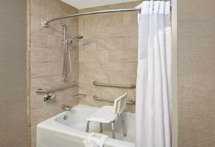 Hotel Holiday Inn Chicago Matteson Conf Center, An Ihg