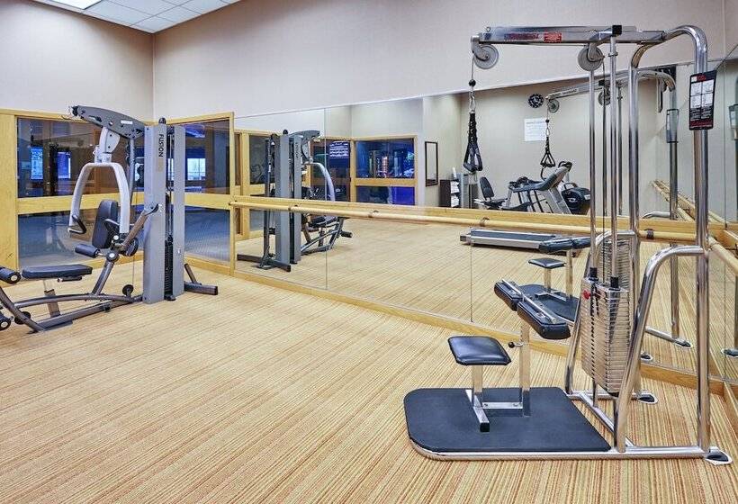 בית מלון כפרי Holiday Inn Chicago Matteson Conf Center, An Ihg