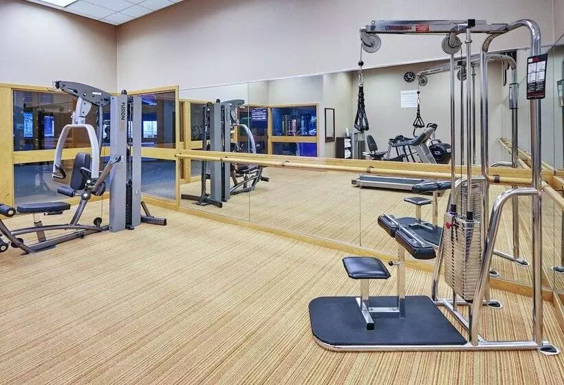 Hotel Holiday Inn Chicago Matteson Conf Center, An Ihg