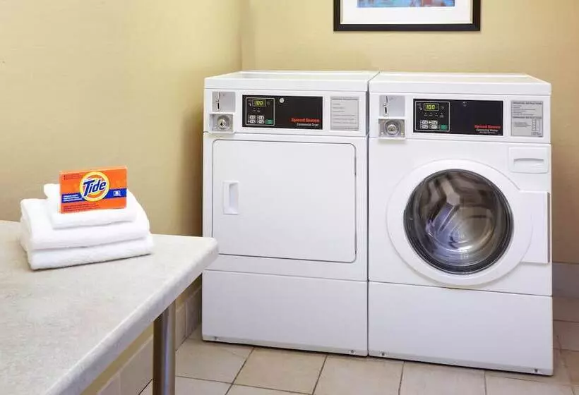 Hotel Holiday Inn Chicago Matteson Conf Center, An Ihg