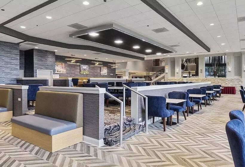 Hotel Holiday Inn Chicago Nw Crystal Lk Conv Ctr, An Ihg