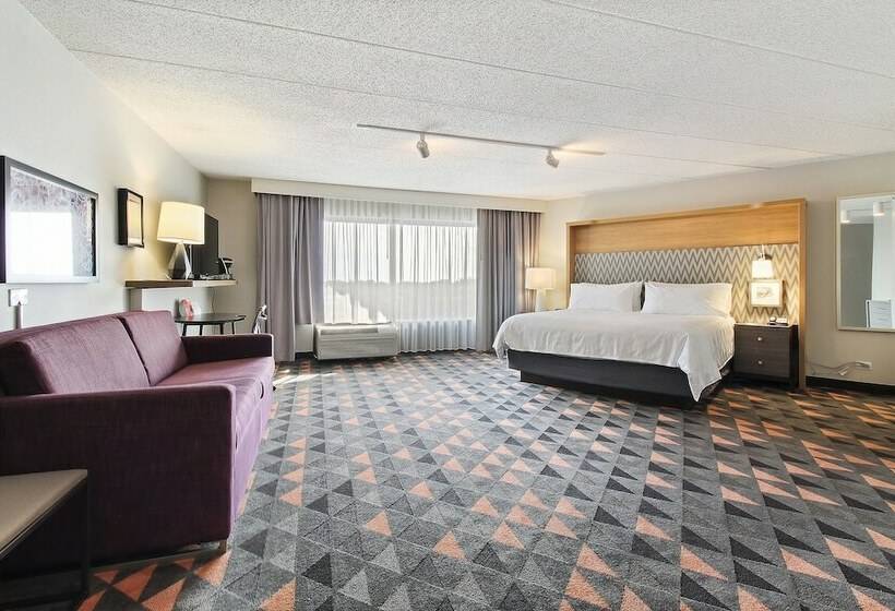 호텔 Holiday Inn Chicago Nw Crystal Lk Conv Ctr, An Ihg