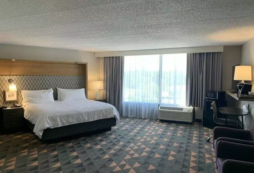 Hotel Holiday Inn Chicago Nw Crystal Lk Conv Ctr, An Ihg