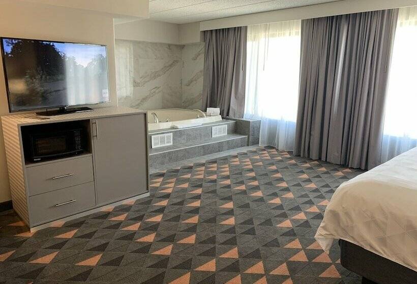 호텔 Holiday Inn Chicago Nw Crystal Lk Conv Ctr, An Ihg