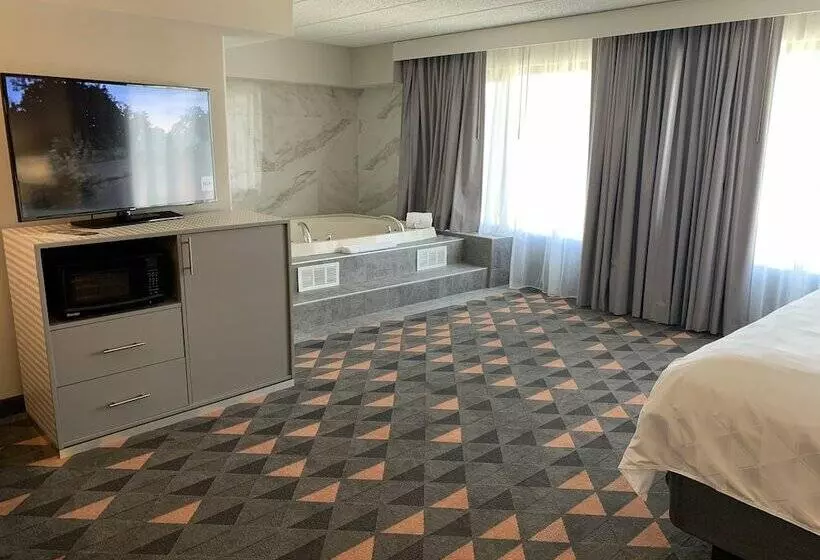 Hotel Holiday Inn Chicago Nw Crystal Lk Conv Ctr, An Ihg