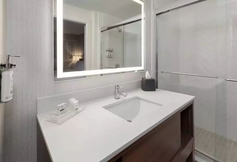 בית מלון כפרי Holiday Inn El Paso West   Sunland Park By Ihg