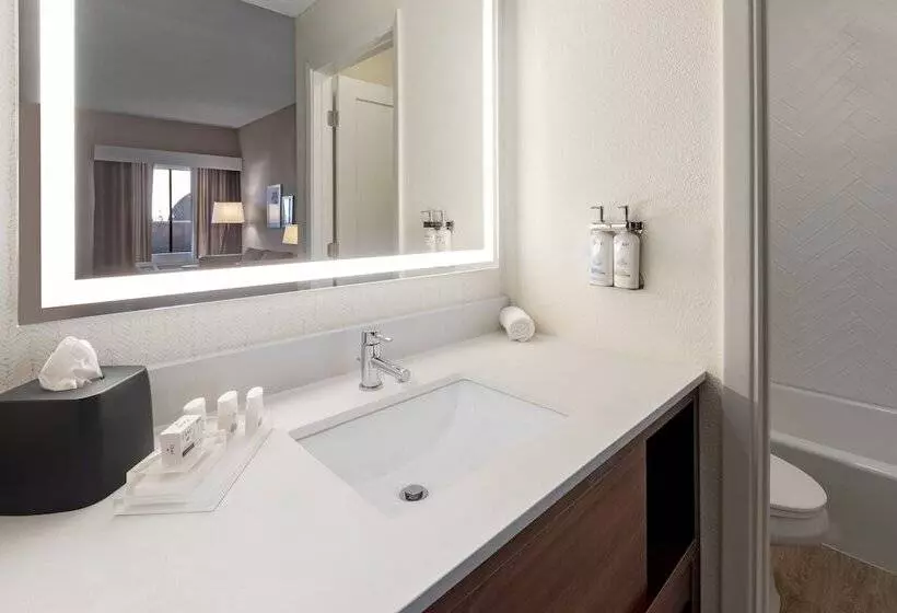 בית מלון כפרי Holiday Inn El Paso West   Sunland Park By Ihg