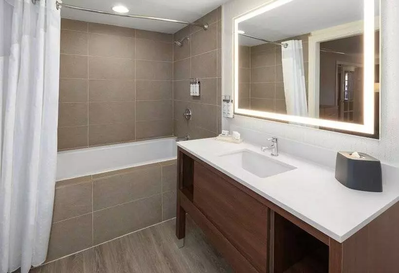 בית מלון כפרי Holiday Inn El Paso West   Sunland Park By Ihg