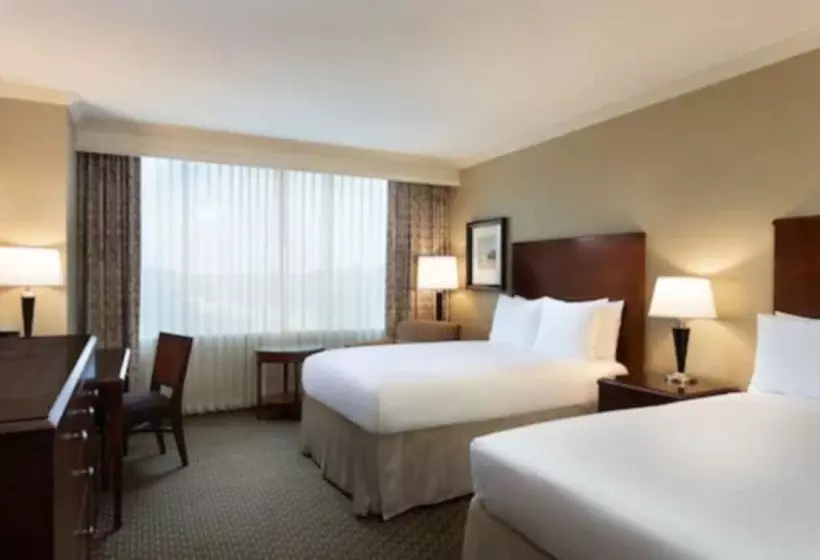 酒店 Hyatt Regency Houston West