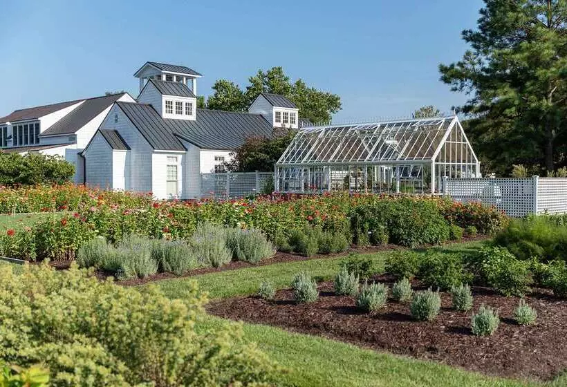 فندق Inn At Perry Cabin