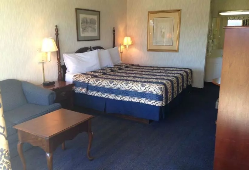 ホテル Mountain View Inn