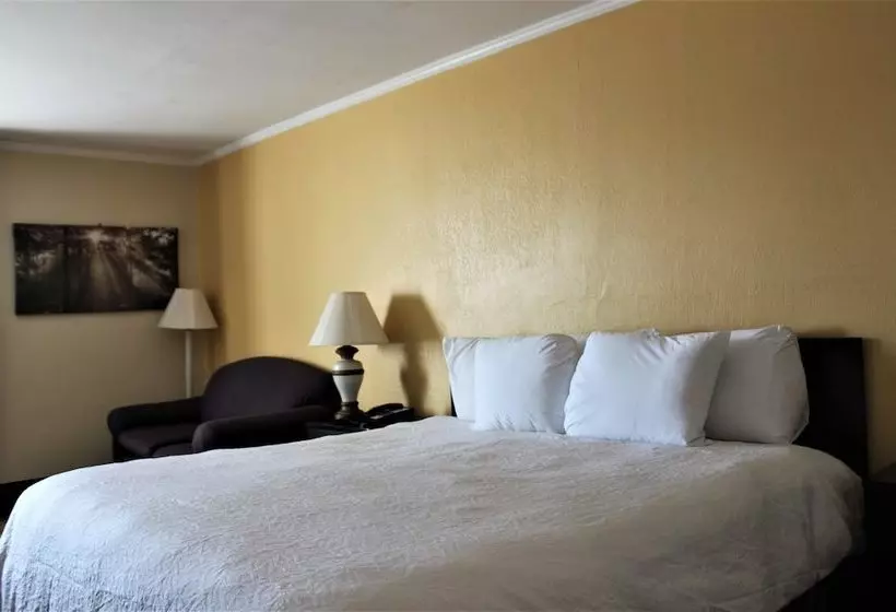 ホテル Mountain View Inn