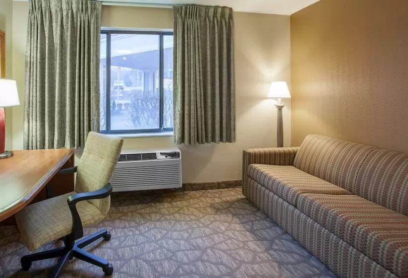 ホテル Quality Inn & Suites