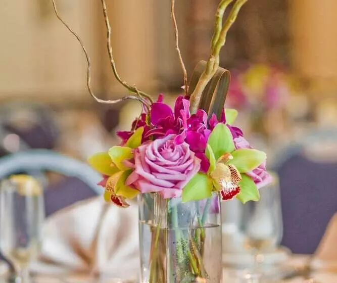 فندق The Inn At Longwood Medical