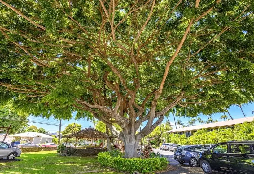 Szálloda Aina Nalu C204