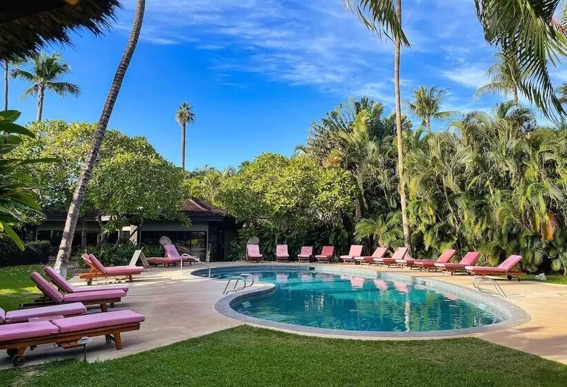 Szálloda Aina Nalu C204