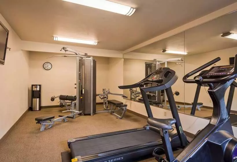 호텔 Best Western Palm Court Inn