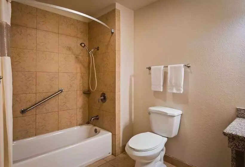 호텔 Best Western Palm Court Inn