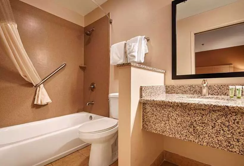 호텔 Best Western Palm Court Inn