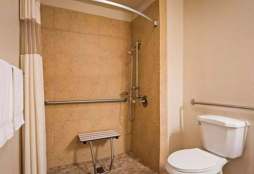 호텔 Best Western Palm Court Inn