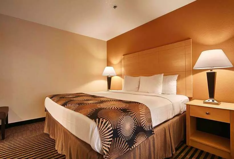 호텔 Best Western Palm Court Inn