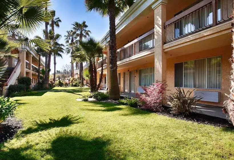 호텔 Best Western Palm Court Inn