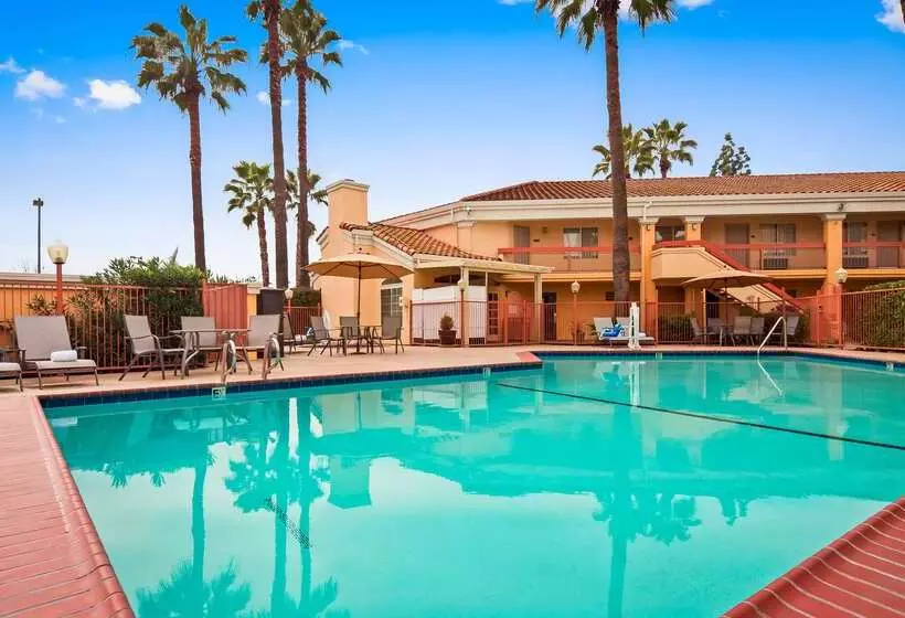 호텔 Best Western Palm Court Inn