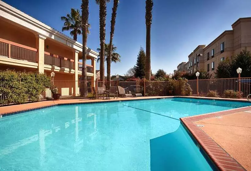 호텔 Best Western Palm Court Inn