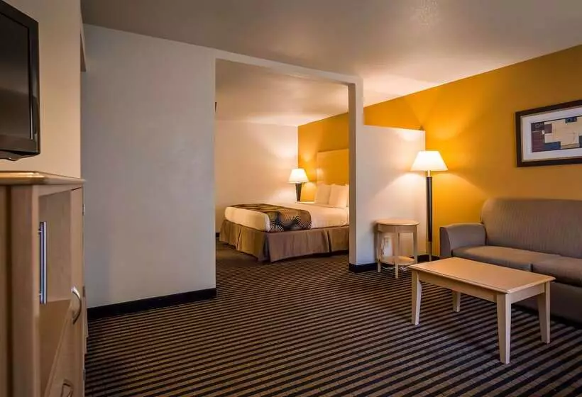 호텔 Best Western Palm Court Inn