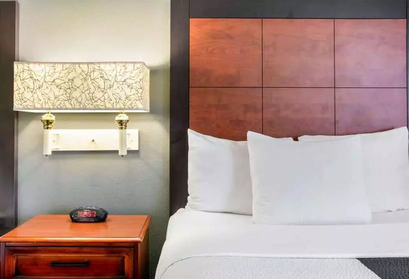 酒店 La Quinta By Wyndham Dfw Airport South / Irving