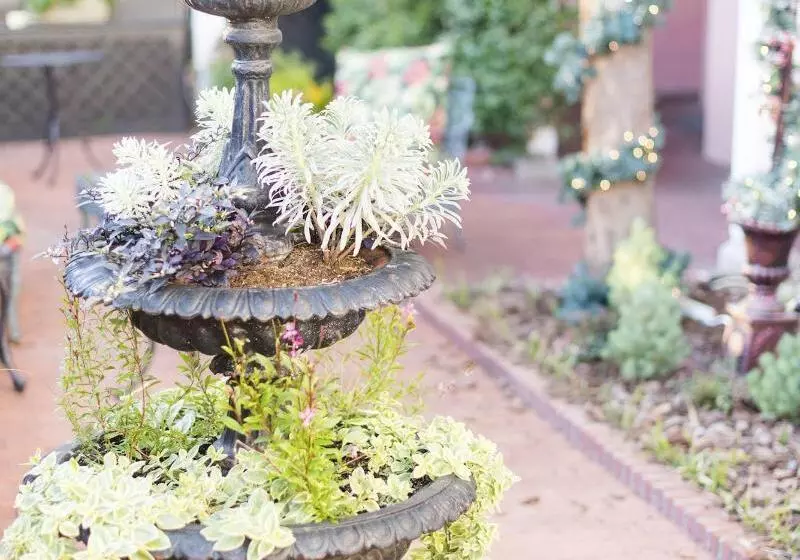 ホテル Meeting Street Inn