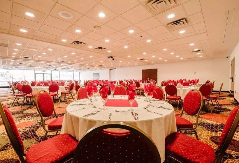 Radisson Hotel St Paul Downtown