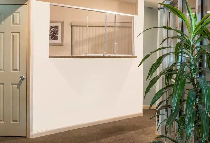 Superb Hamburg Motel