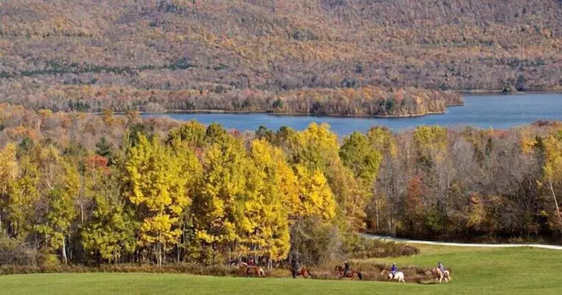 Otel The Mountain Top Inn & Resort