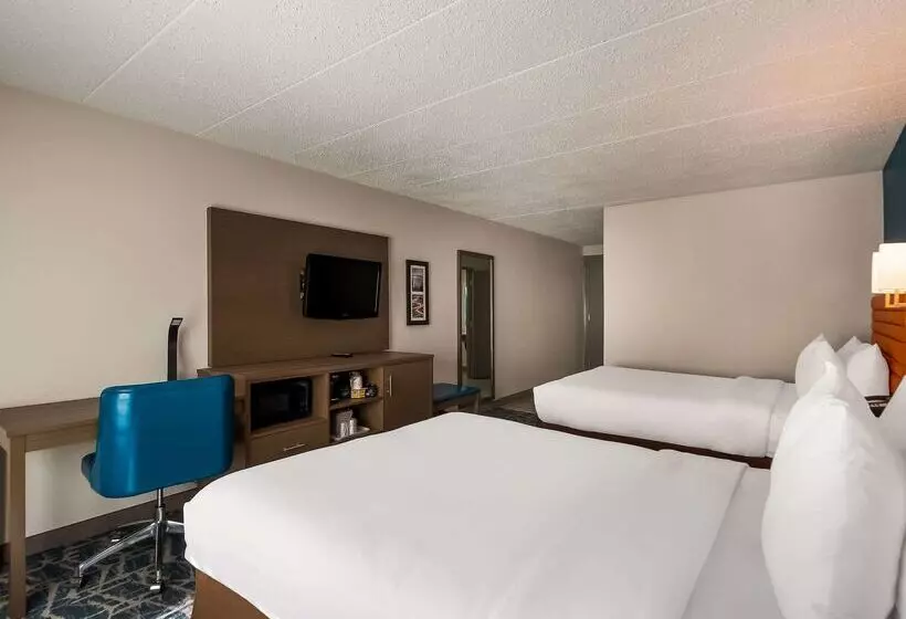 فندق Comfort Inn Falls Church   Tysons Corner