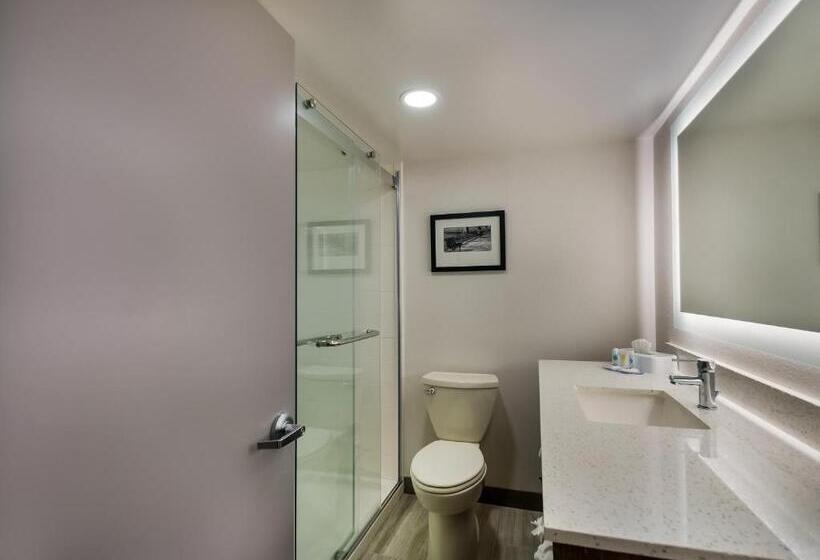 ホテル Comfort Inn Falls Church   Tysons Corner