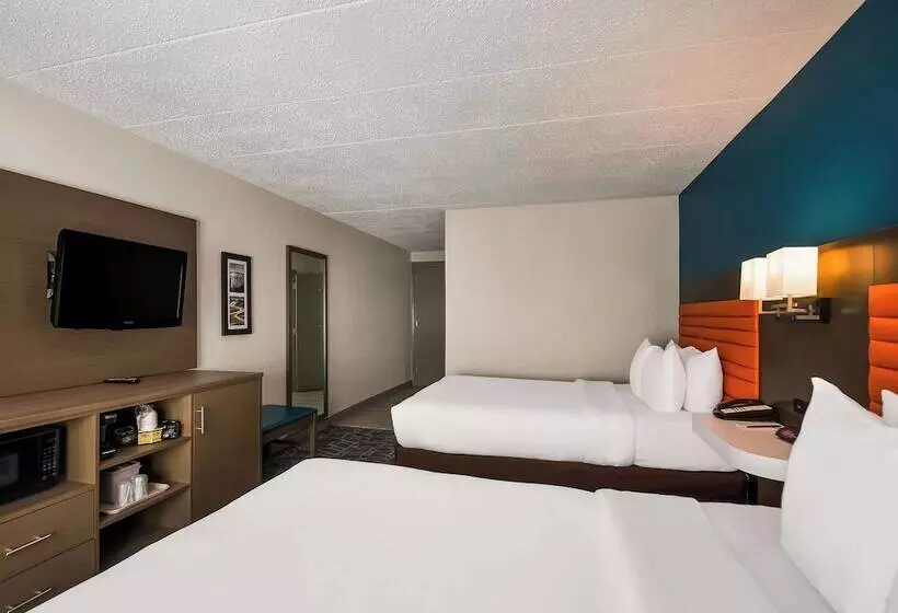 فندق Comfort Inn Falls Church   Tysons Corner