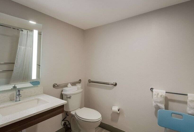 ホテル Comfort Inn Falls Church   Tysons Corner