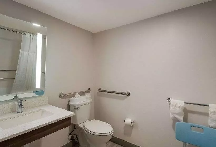 فندق Comfort Inn Falls Church   Tysons Corner