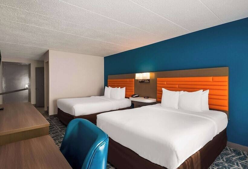 ホテル Comfort Inn Falls Church   Tysons Corner