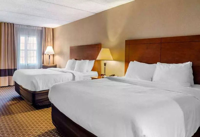 Hotel Comfort Inn & Suites Raphine  Lexington Near I81 And I64